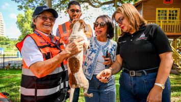 Alcaldía de Santiago celebra sexta Feria de Adopción Canina