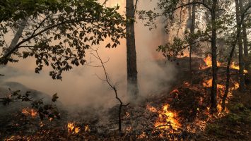 Francia despliega ejército contra incendios forestales
