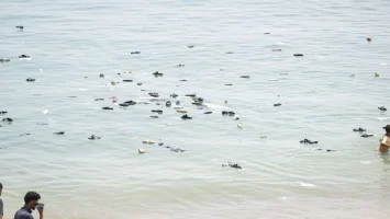 Ascienden a 67 los cadáveres de migrantes recuperados en la costa de Ceuta tras la entrada masiva